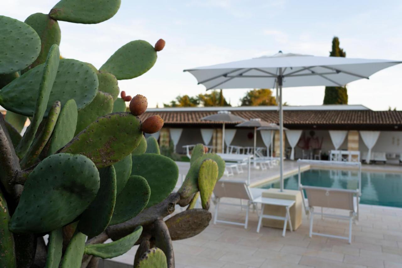 Bauernhof Masseria Tenuta Flora Maria Leverano