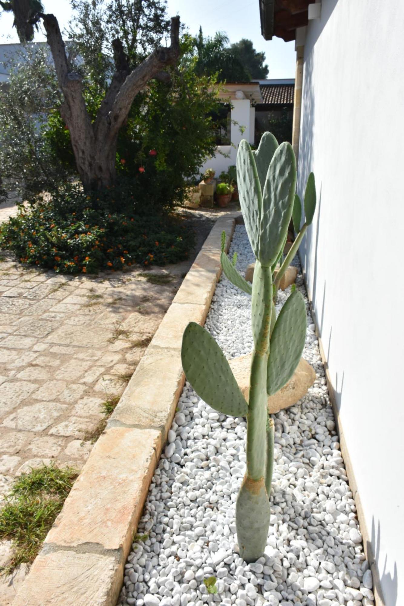 Masseria Tenuta Flora Maria * Leverano