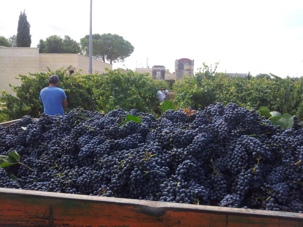 Masseria Tenuta Flora Maria Leverano